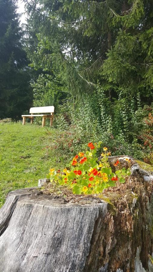 Appartement Leh Annaberg im Lammertal Buitenkant foto