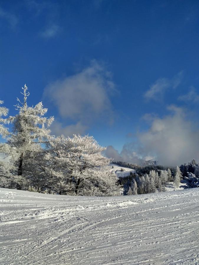 Appartement Leh Annaberg im Lammertal Buitenkant foto