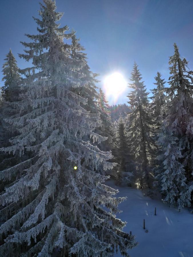Appartement Leh Annaberg im Lammertal Buitenkant foto