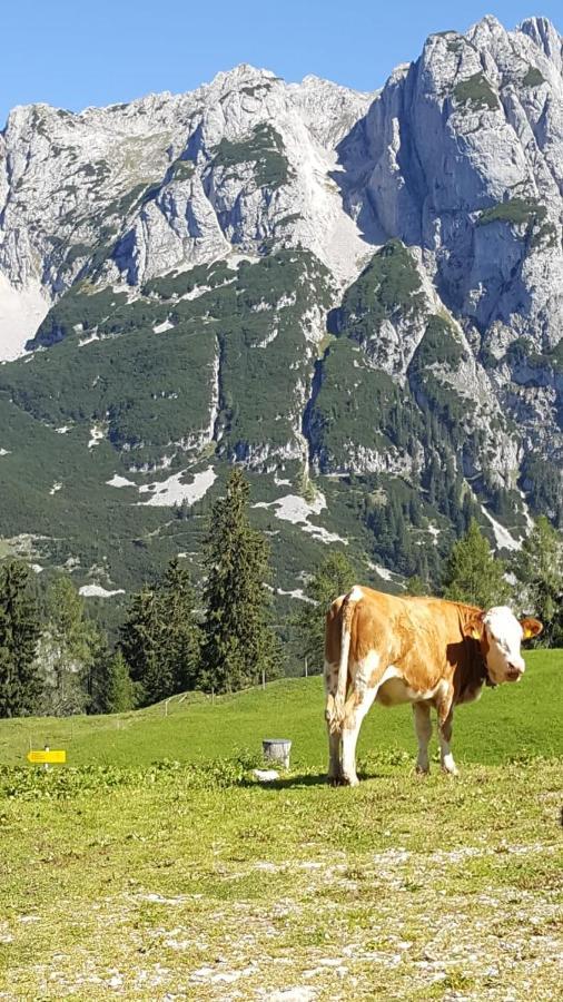 Appartement Leh Annaberg im Lammertal Buitenkant foto